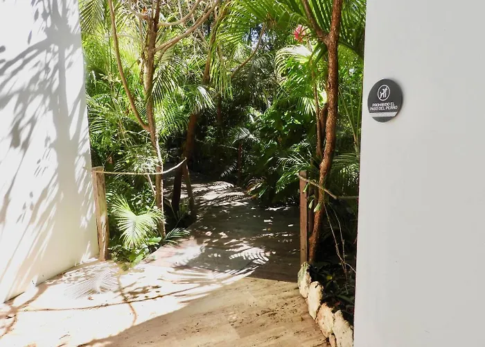 New! Yaxxlum 2br, Pool, Jacuzzi Hotube Heushaven Holiday home Tulum